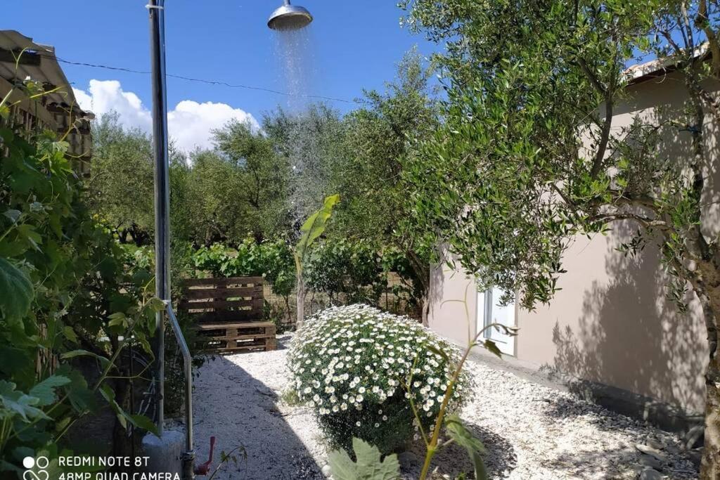 Raisin House Villa Koukounaria Exterior photo