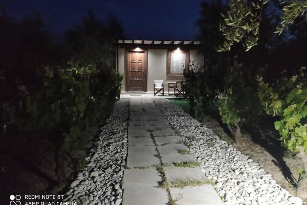 Raisin House Villa Koukounaria Exterior photo